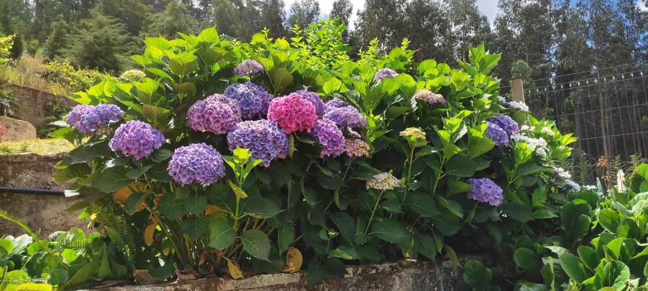 Quinta Da Costeira Villa Sever do Vouga Dış mekan fotoğraf