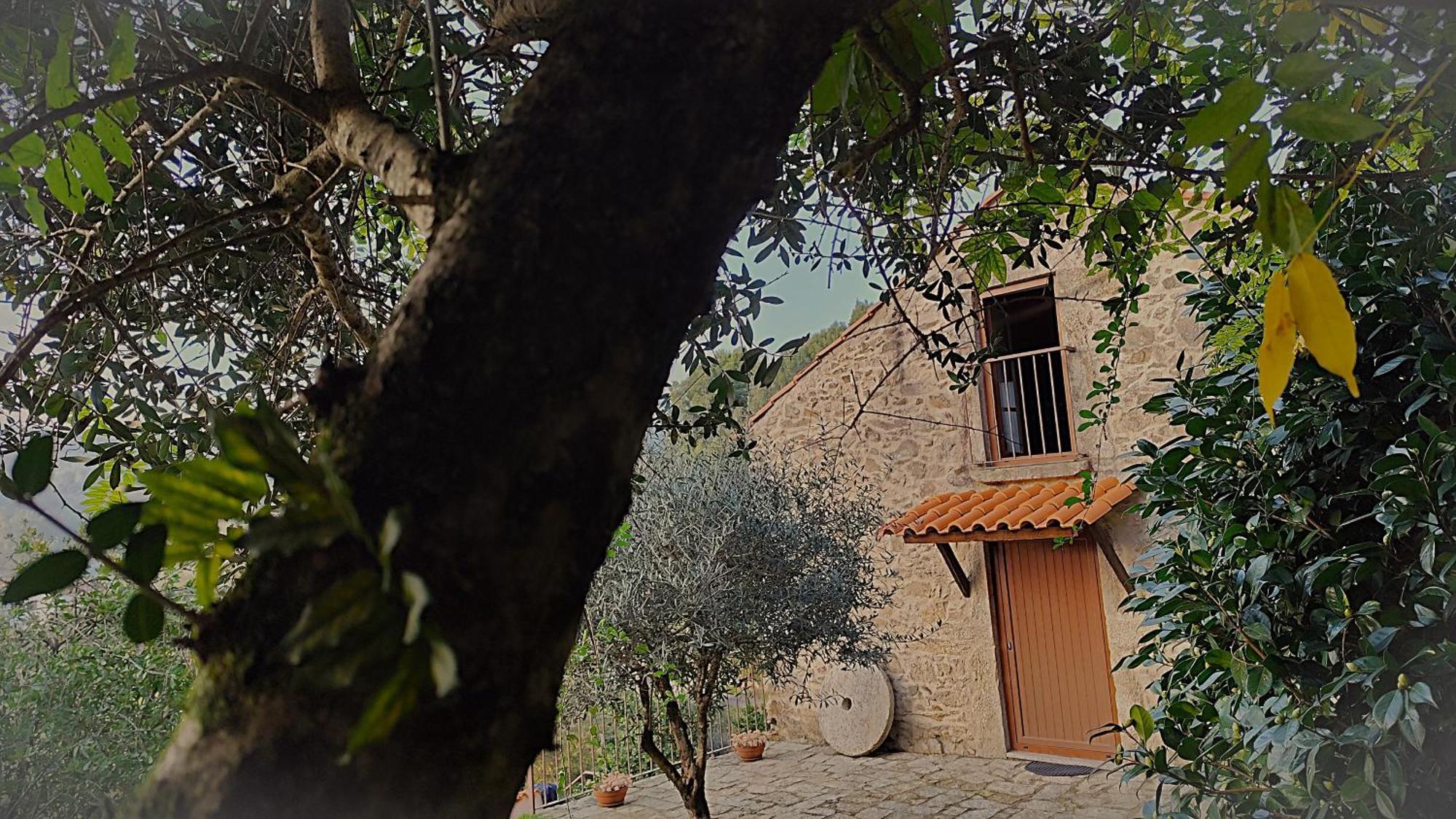 Quinta Da Costeira Villa Sever do Vouga Dış mekan fotoğraf
