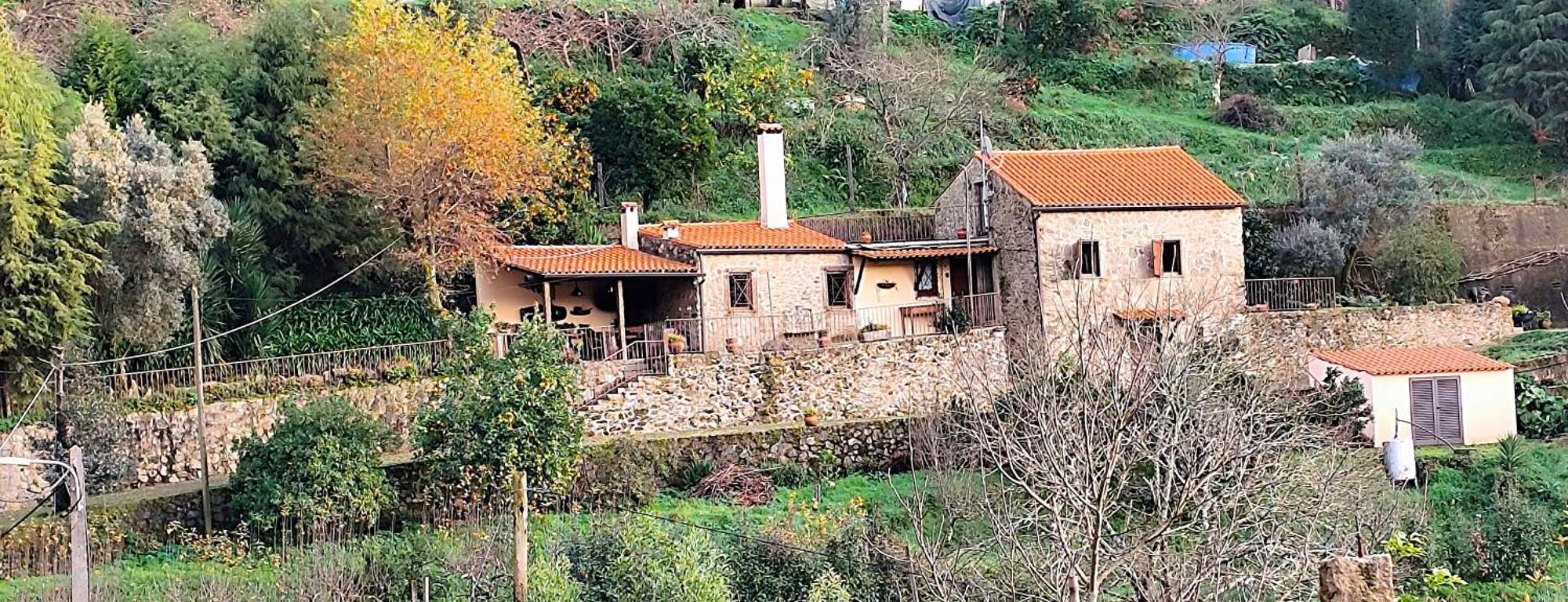 Quinta Da Costeira Villa Sever do Vouga Dış mekan fotoğraf