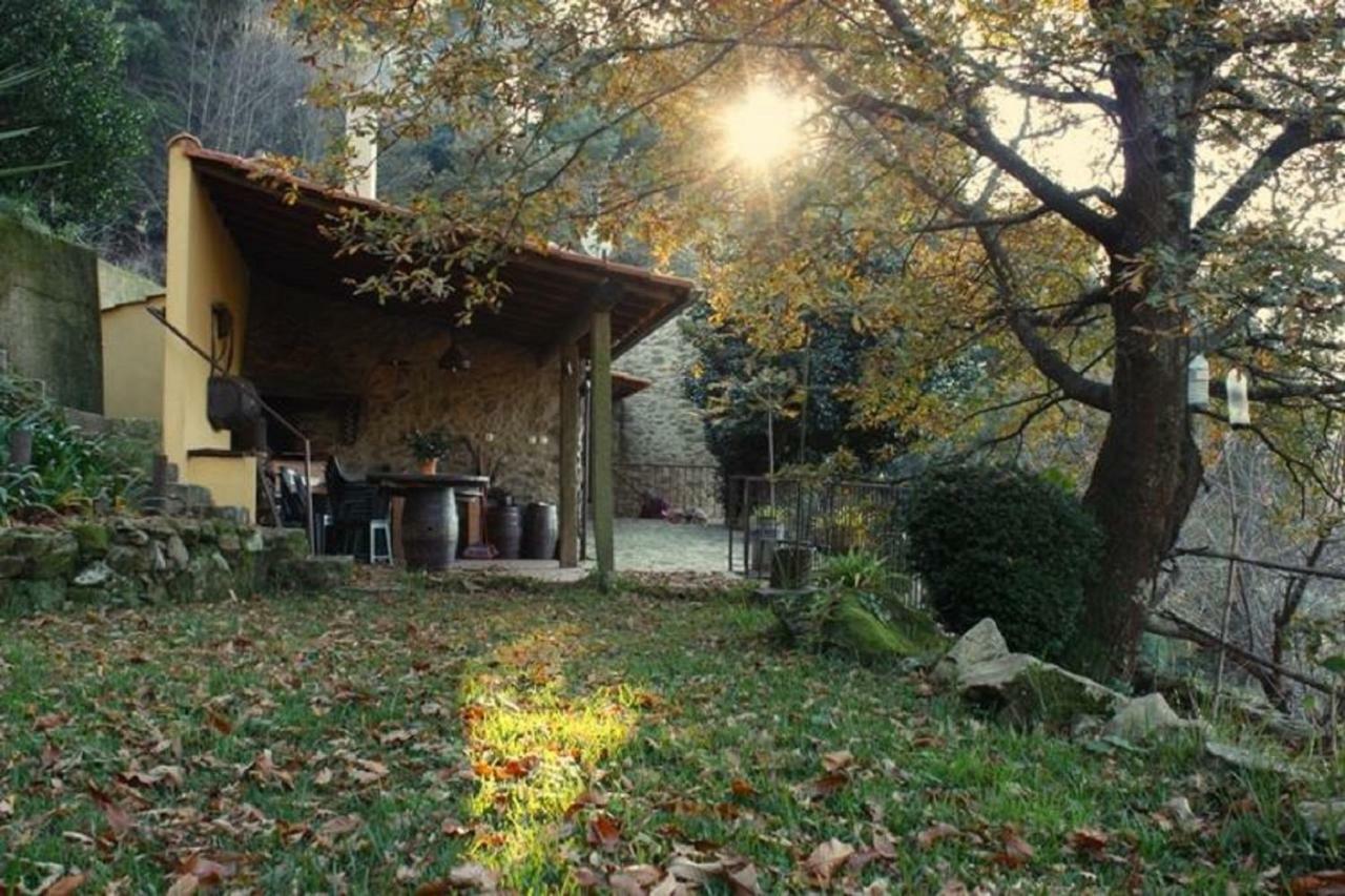 Quinta Da Costeira Villa Sever do Vouga Dış mekan fotoğraf