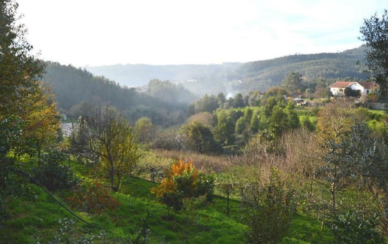 Quinta Da Costeira Villa Sever do Vouga Dış mekan fotoğraf