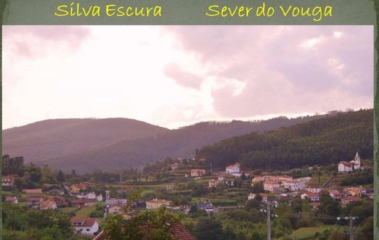 Quinta Da Costeira Villa Sever do Vouga Dış mekan fotoğraf