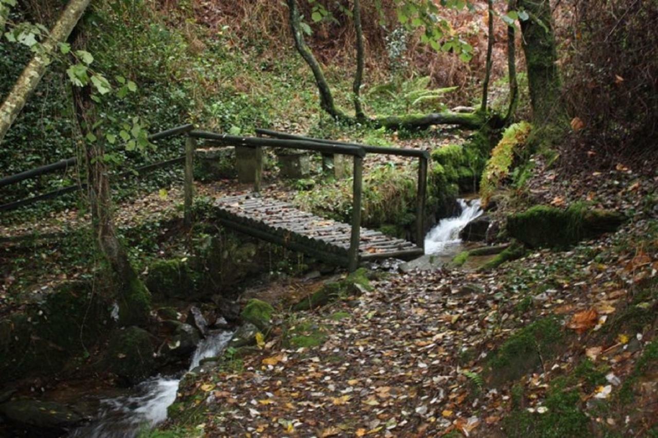 Quinta Da Costeira Villa Sever do Vouga Dış mekan fotoğraf