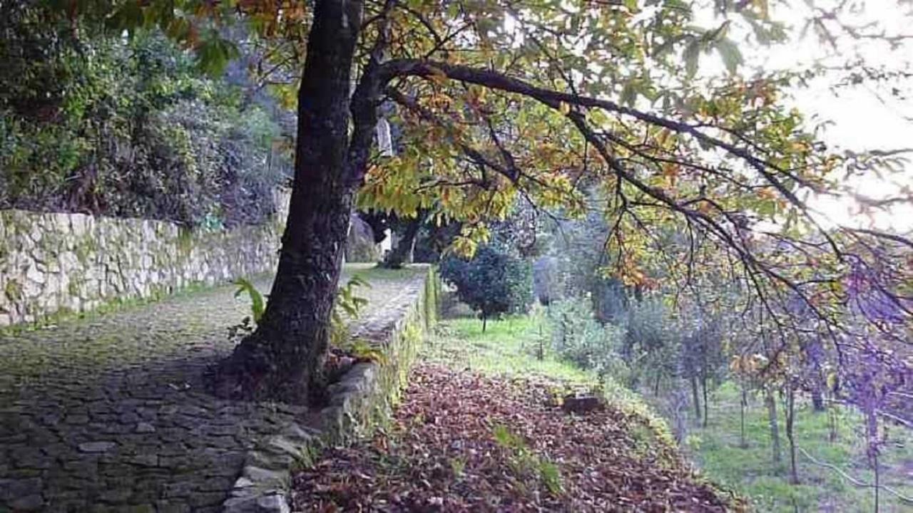 Quinta Da Costeira Villa Sever do Vouga Dış mekan fotoğraf