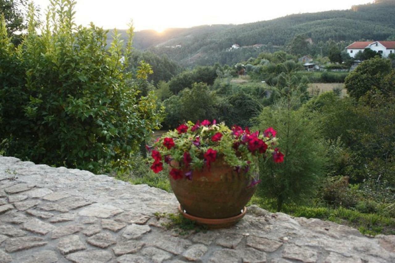 Quinta Da Costeira Villa Sever do Vouga Dış mekan fotoğraf