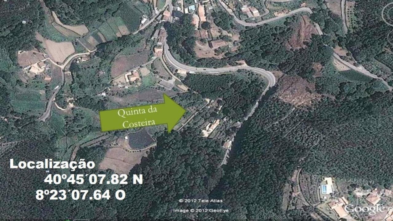Quinta Da Costeira Villa Sever do Vouga Dış mekan fotoğraf